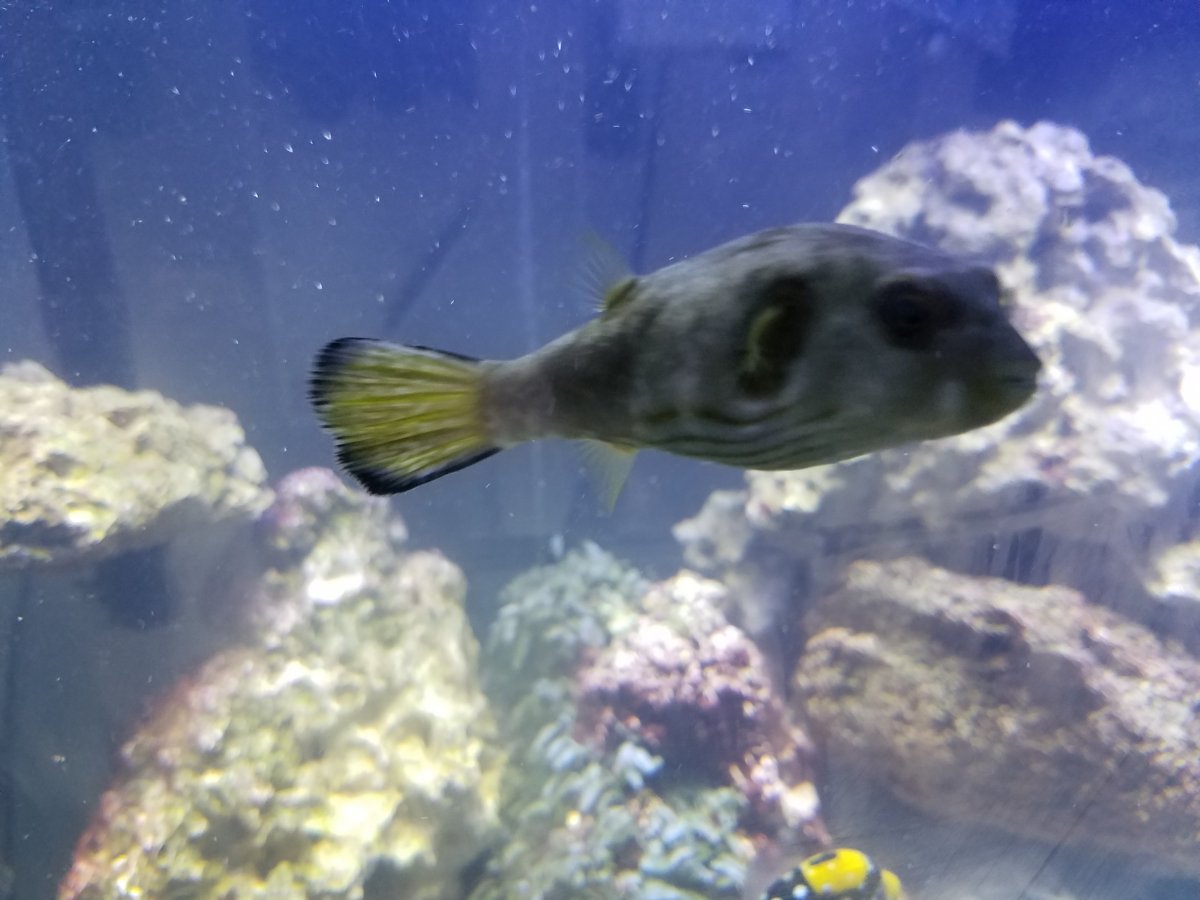 20161004_214943.jpg