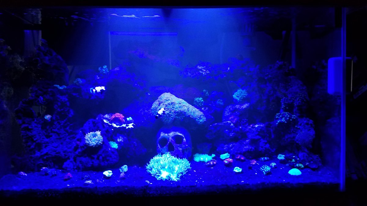 20161004_221308.jpg
