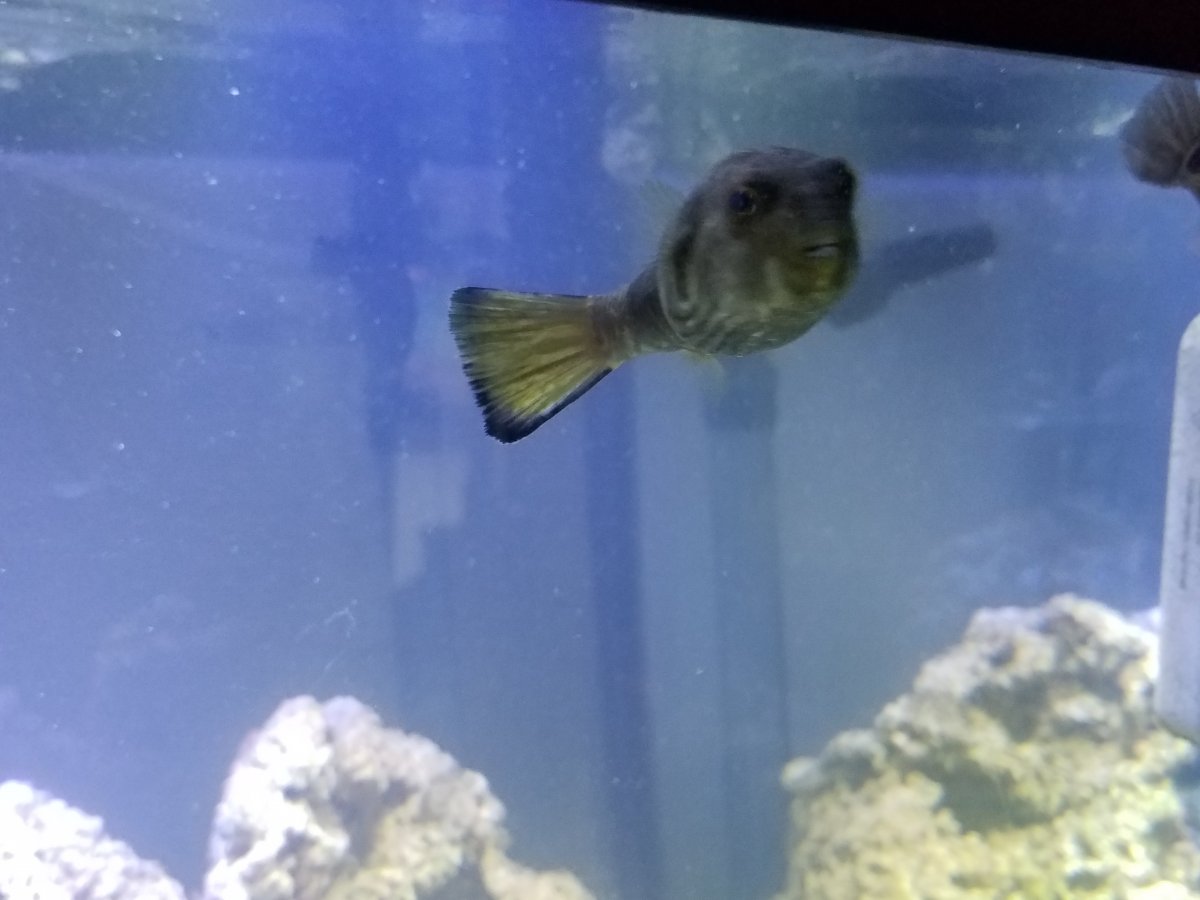 20161005_080241.jpg