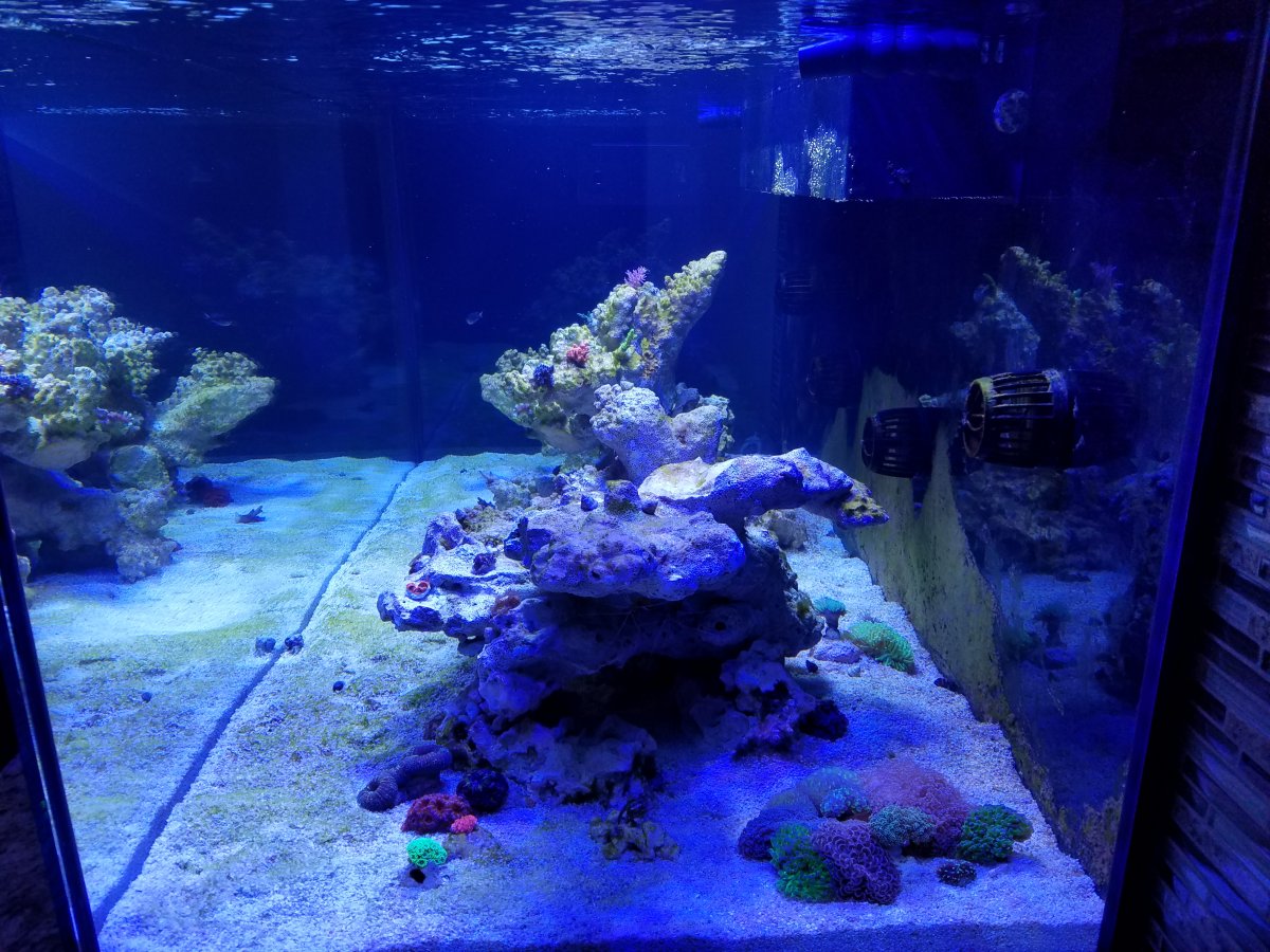 20161005_130752.jpg