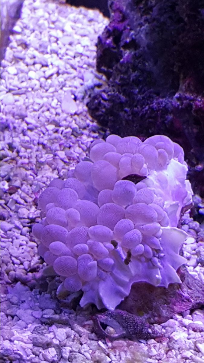 20161005_131757.jpg
