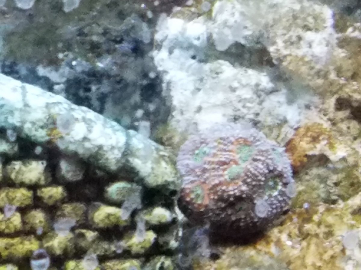 20161005_201615.jpg