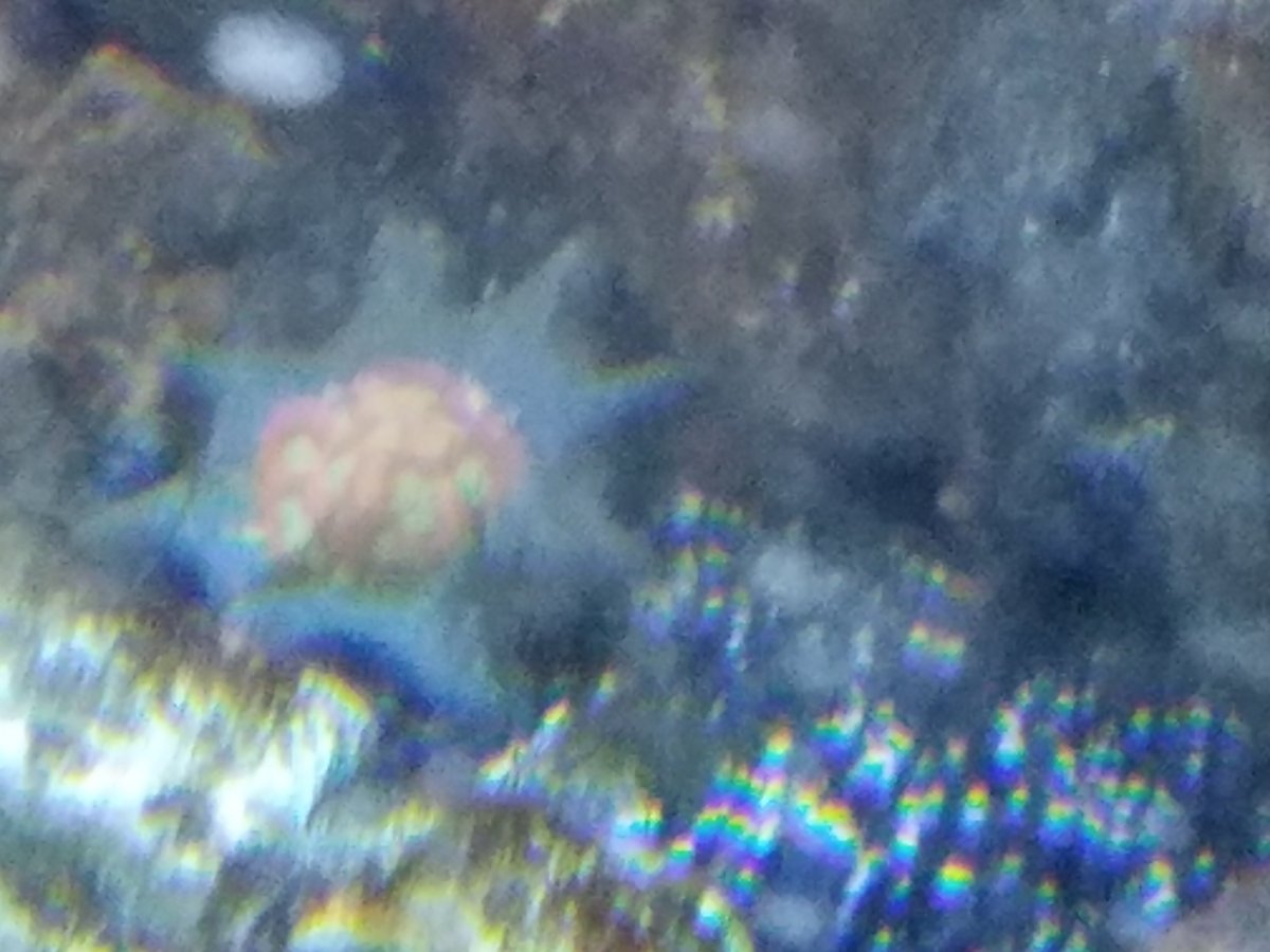 20161005_201631.jpg