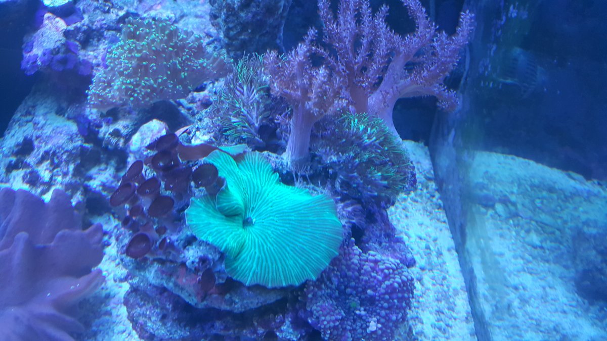 20161006_164152.jpg