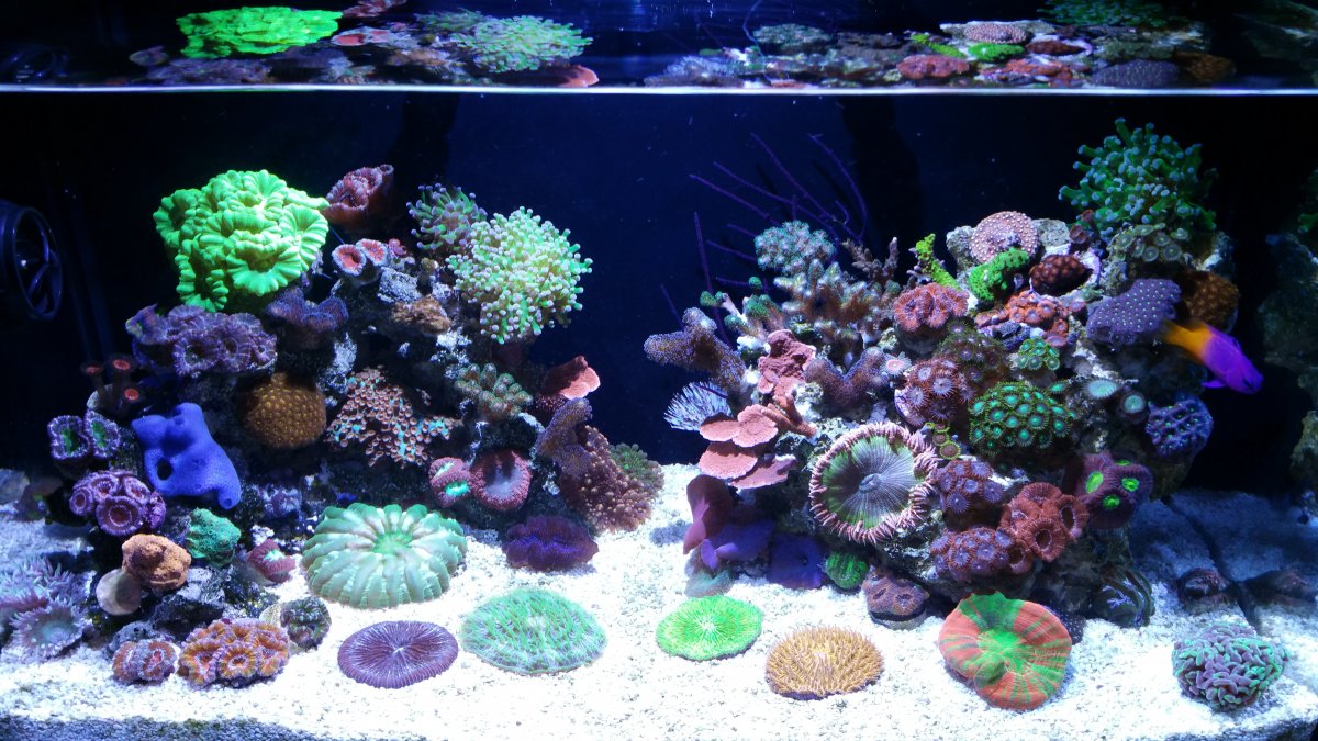 20161006_164316.jpg