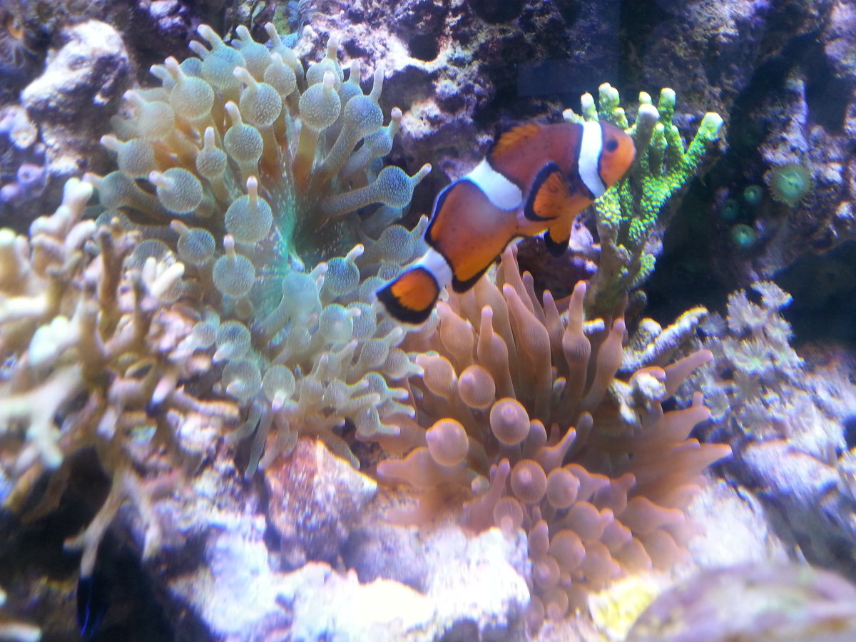 20161007_132009.jpg