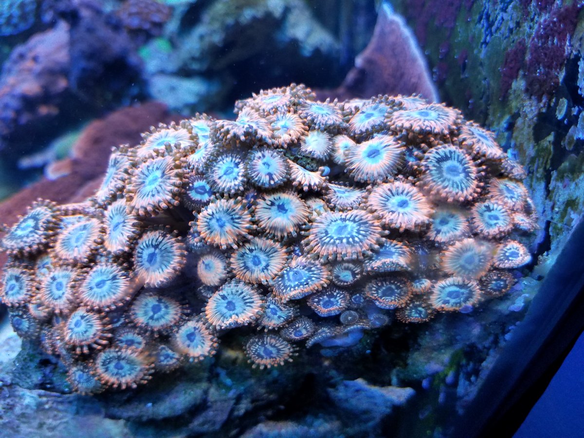 20161007_180456.jpg