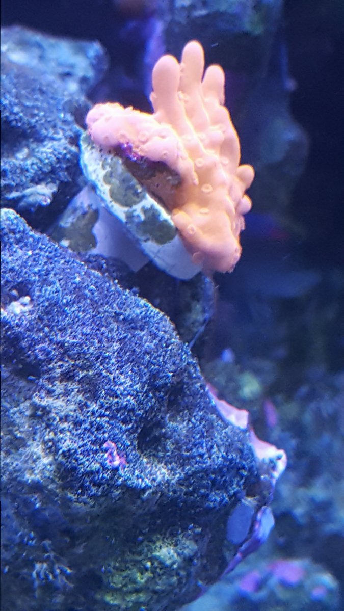 20161007_201055.jpg