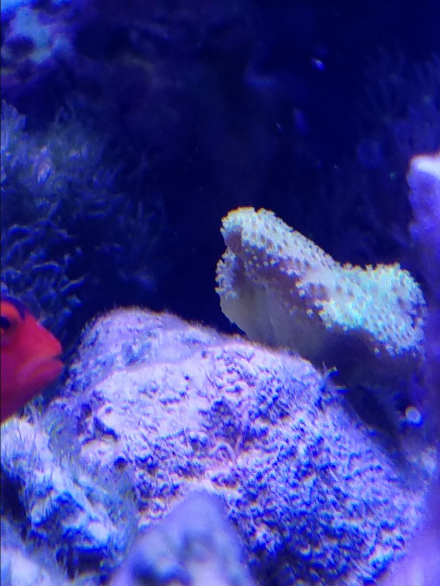 20161008_203330.jpg