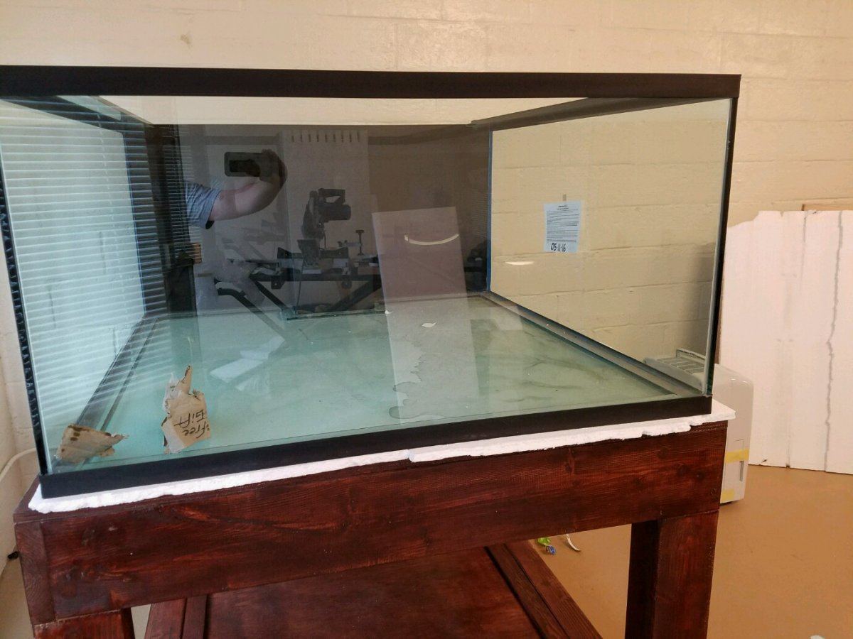 20161009_161752.jpg