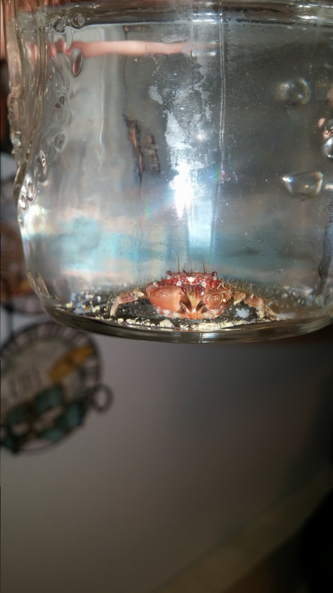 20161011_092004.jpg