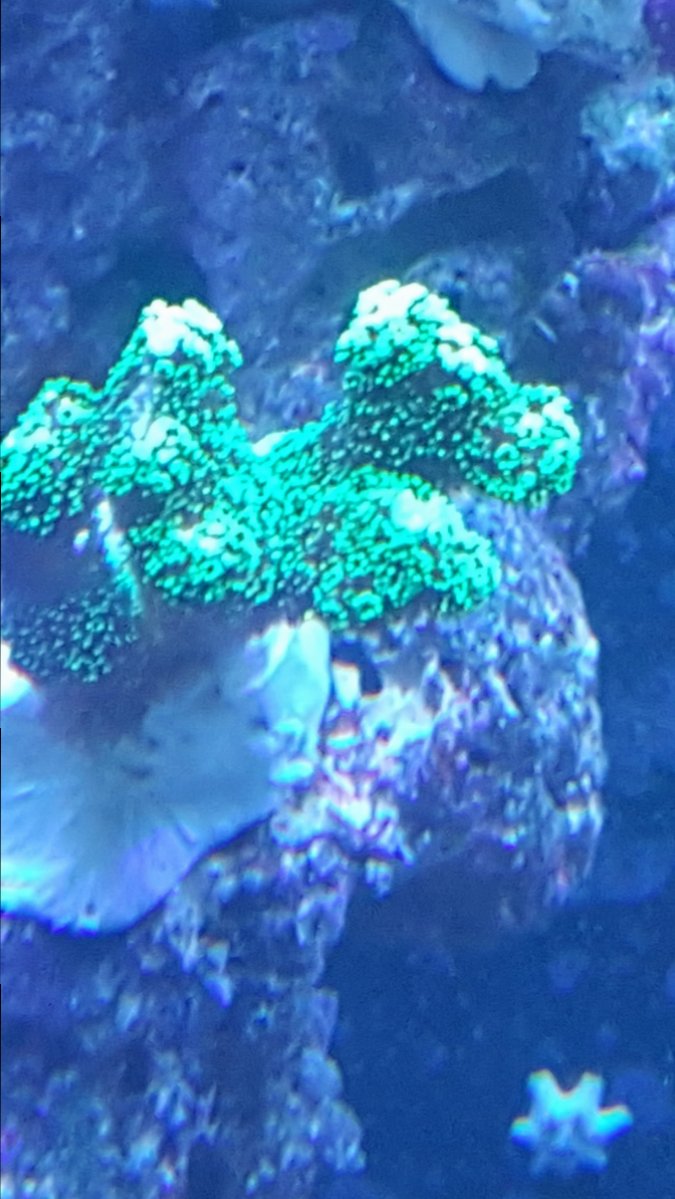 20161012_163223.jpg