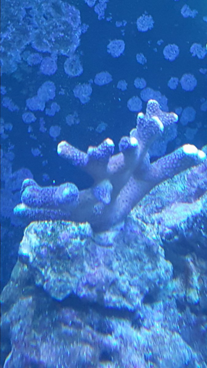 20161012_163231.jpg