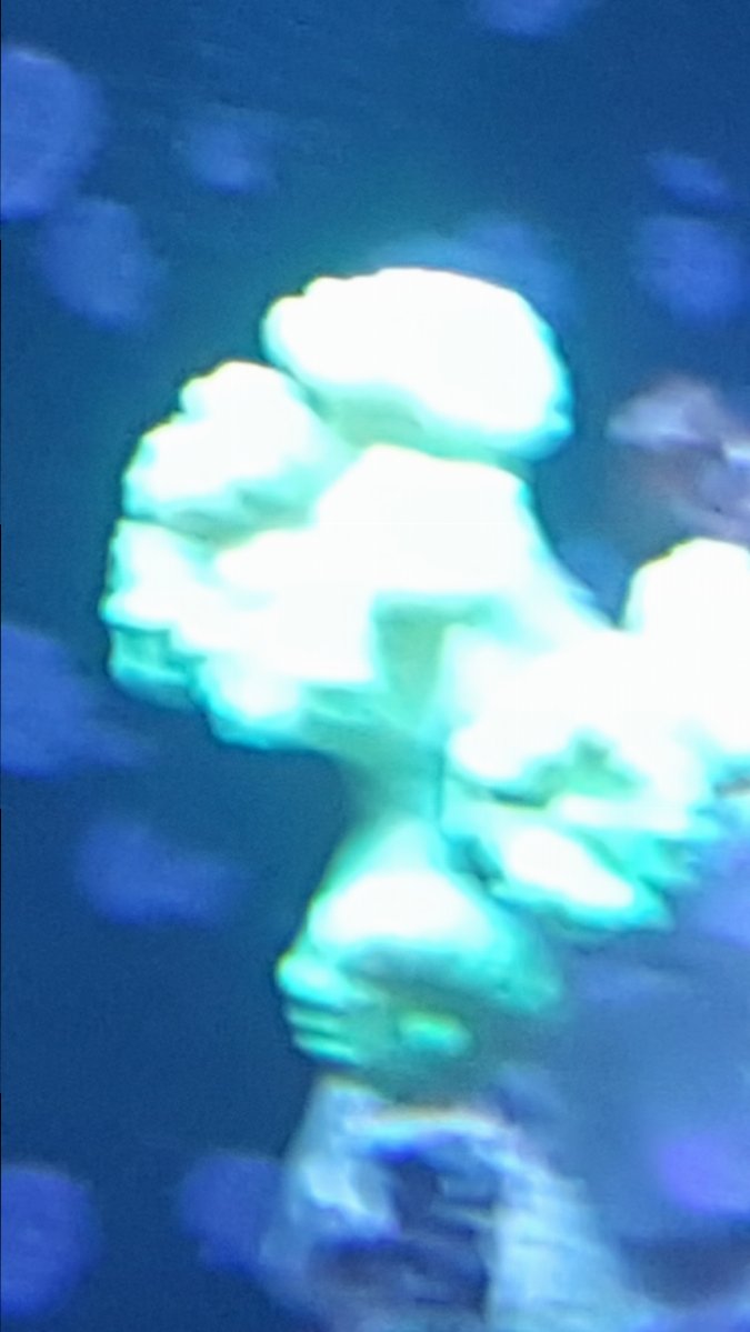 20161012_163235.jpg