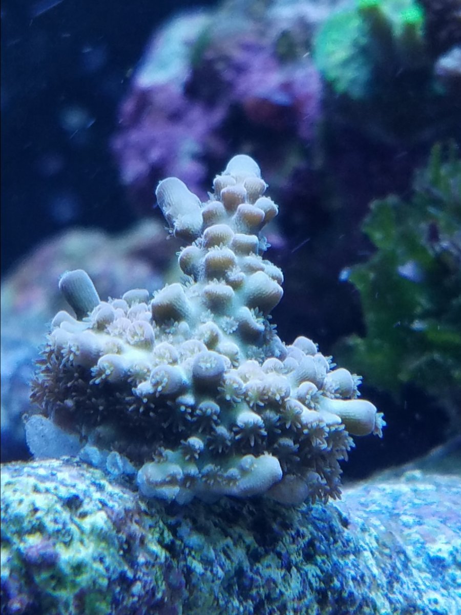 20161012_163238.jpg