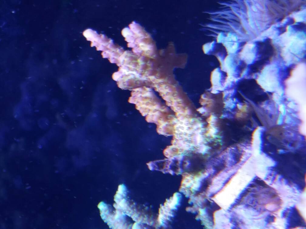 20161012_183022.jpg