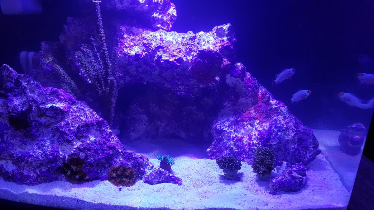 20161012_192016.jpg