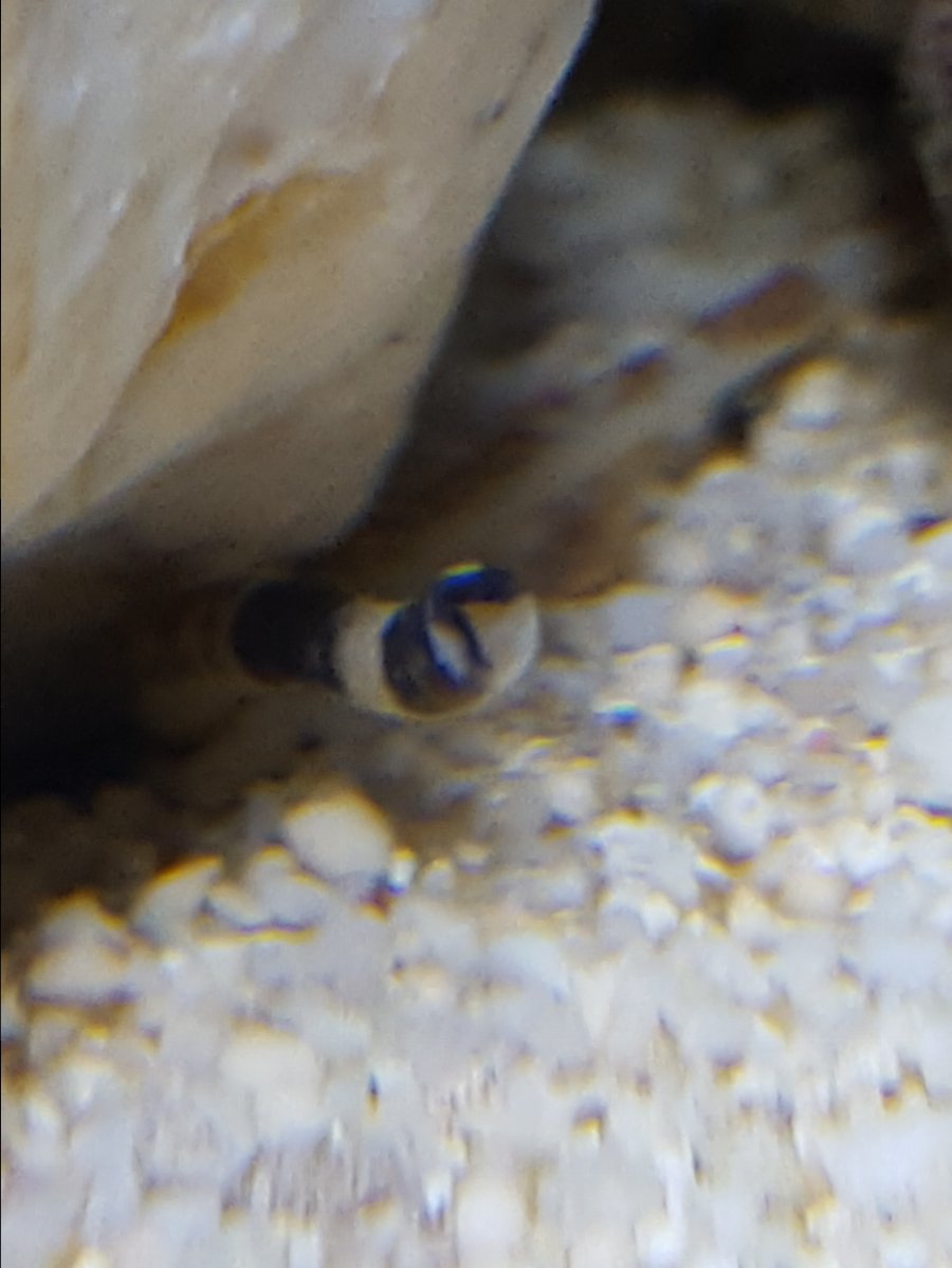 20161012_201424.jpg