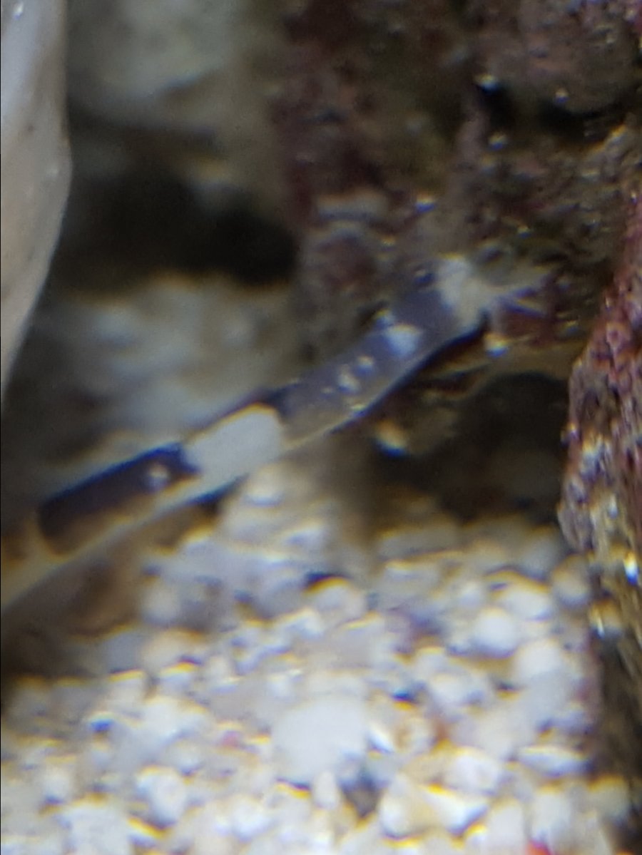20161012_201431.jpg