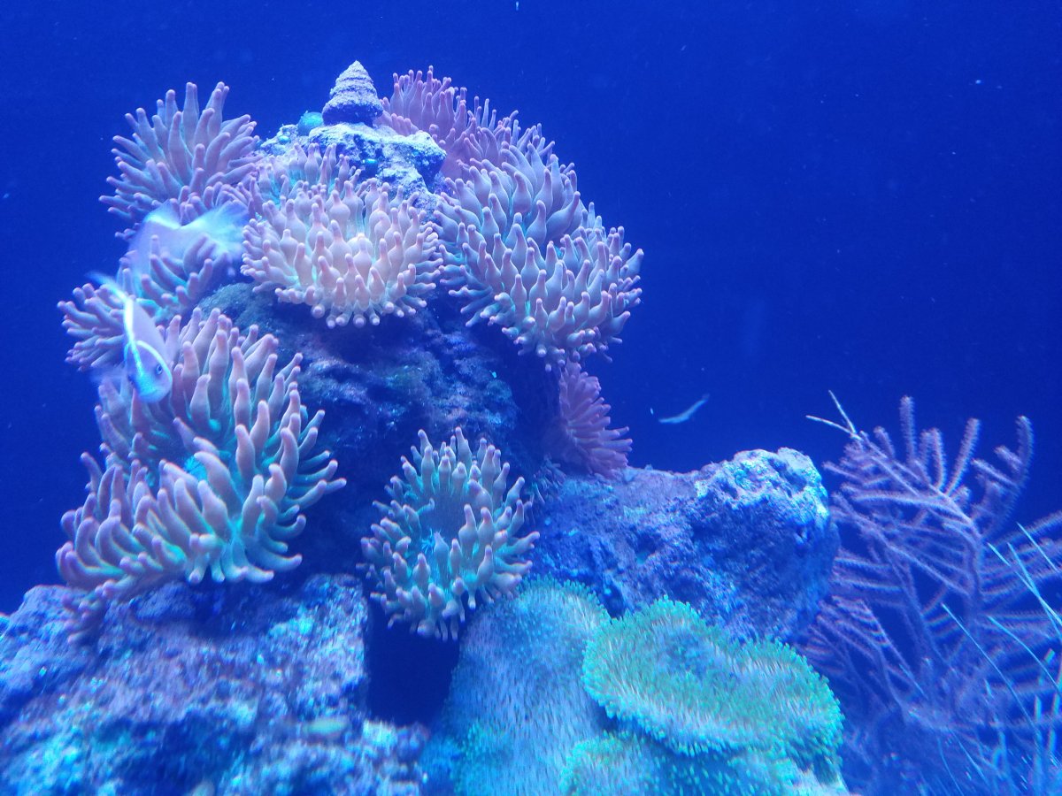 20161012_225856.jpg