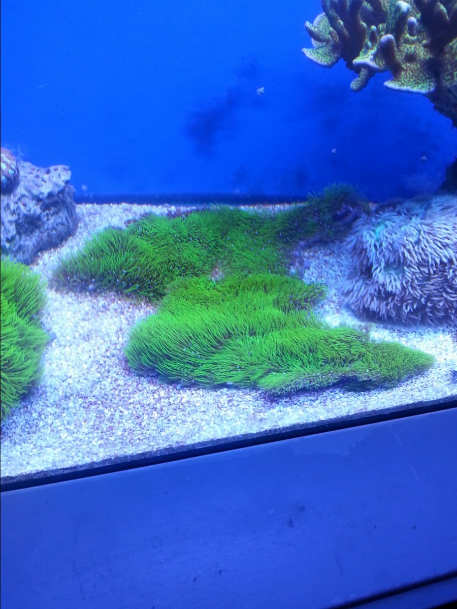 20161013_205522.jpg