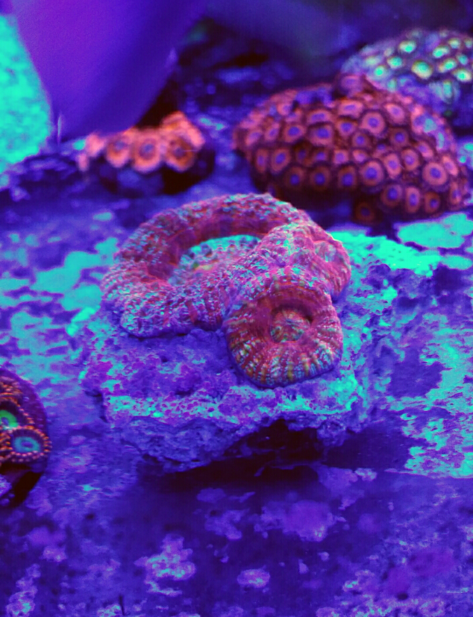 20161014_005819.png