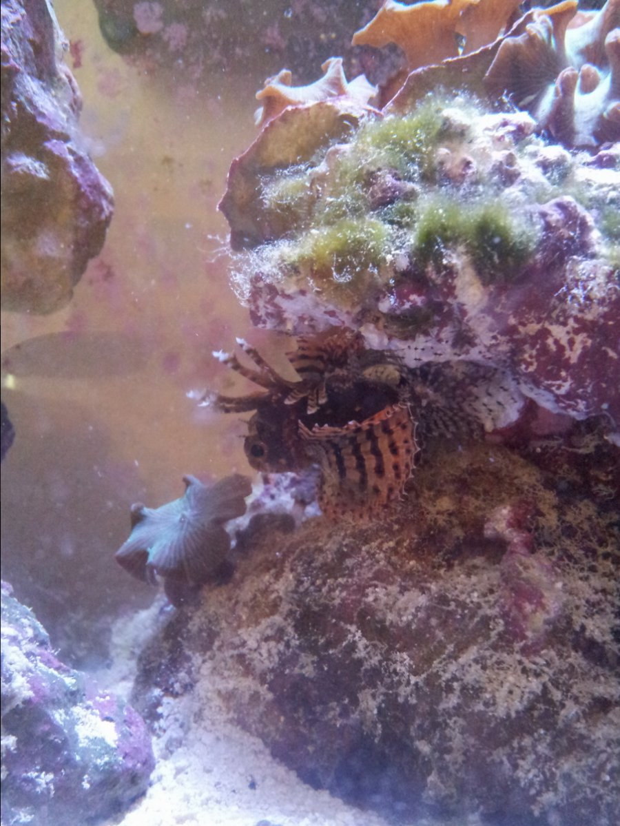 20161014_093952.jpg