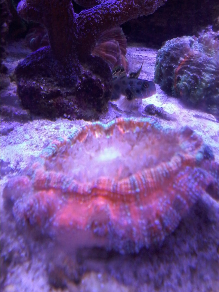 20161015_154817.jpg