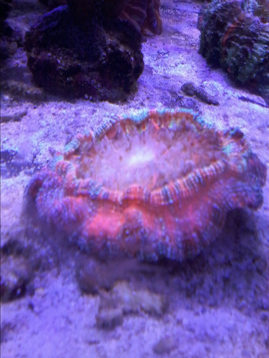 20161015_161326.jpg