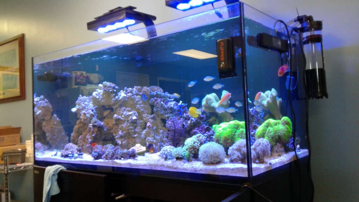 20161016_121037.jpg