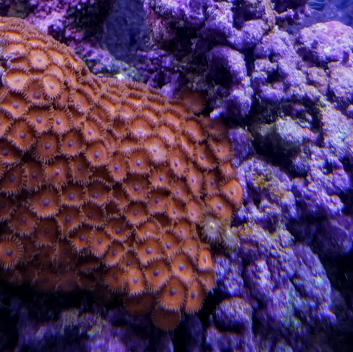20161018_144303.jpg
