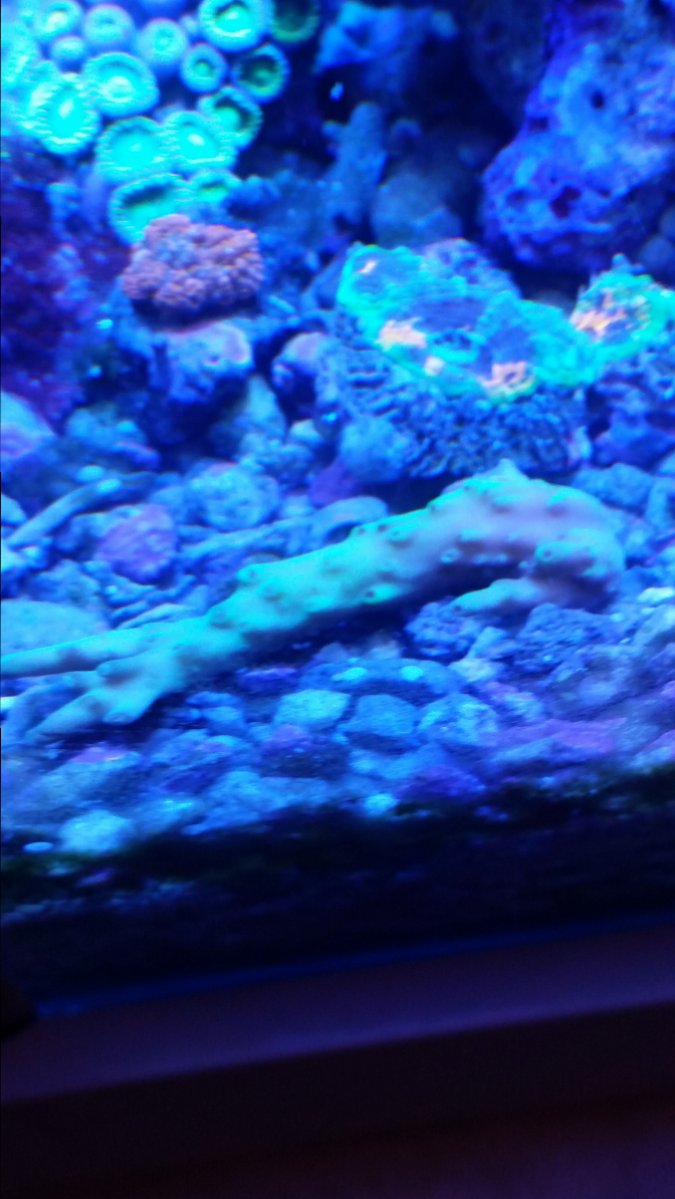 20161018_202207.jpg