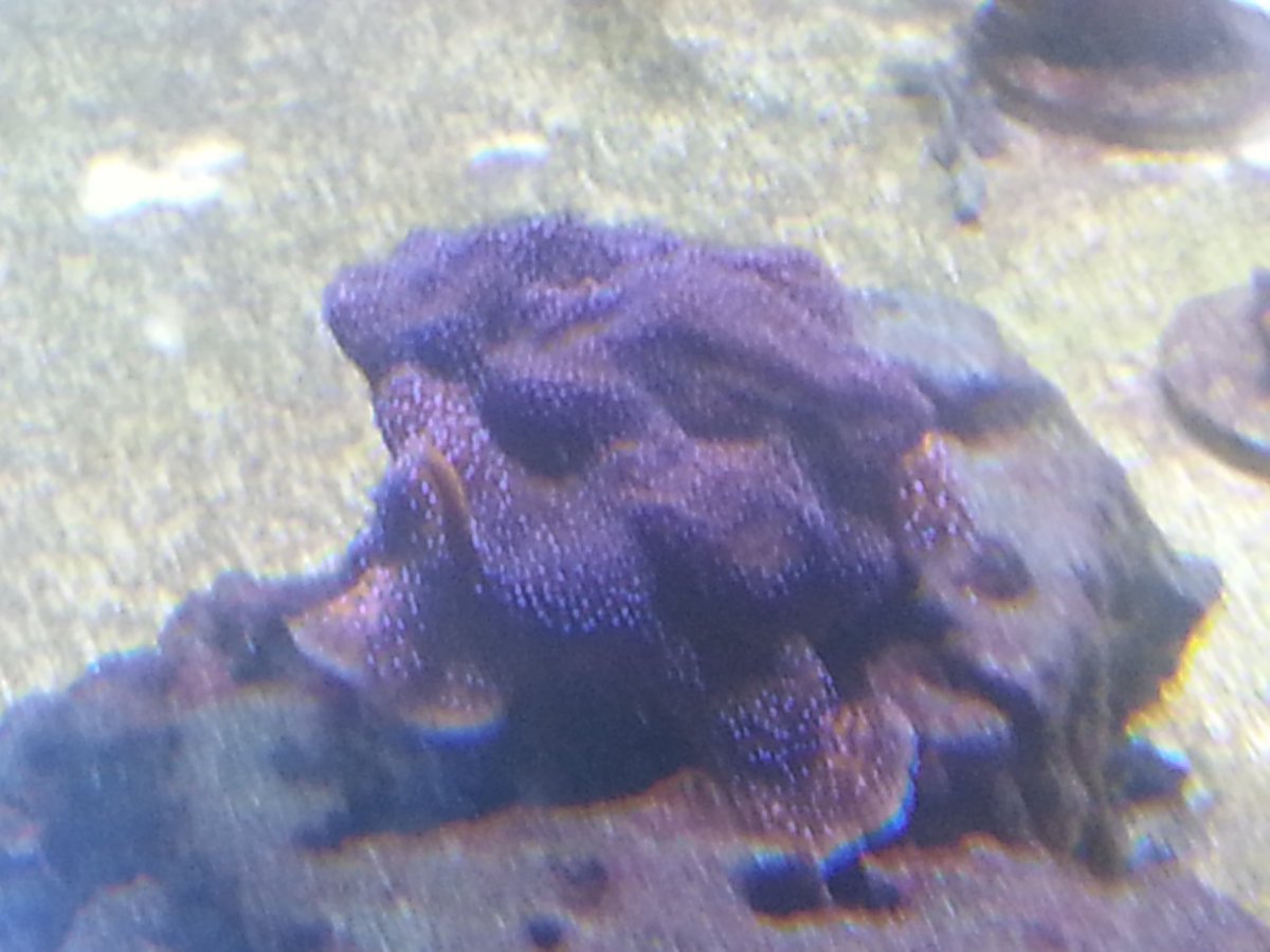 20161020_024153.jpg