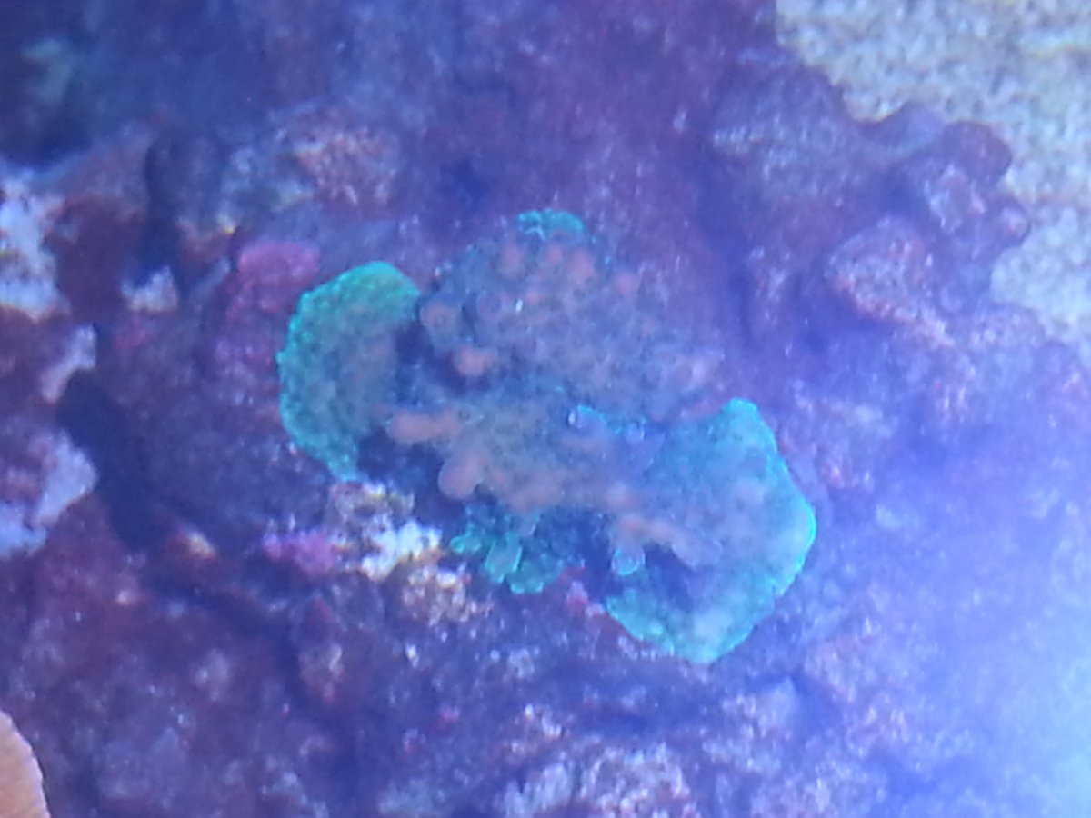 20161020_024257.jpg