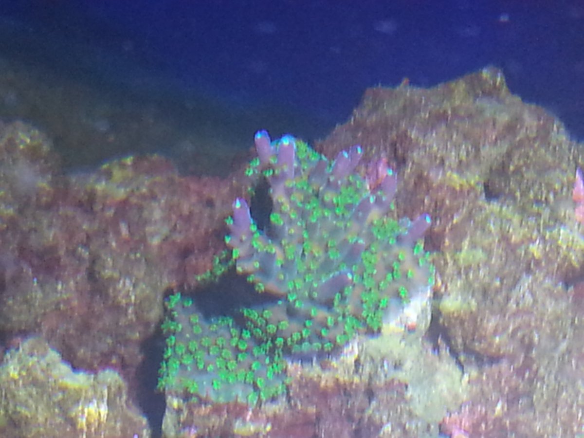 20161020_024340.jpg