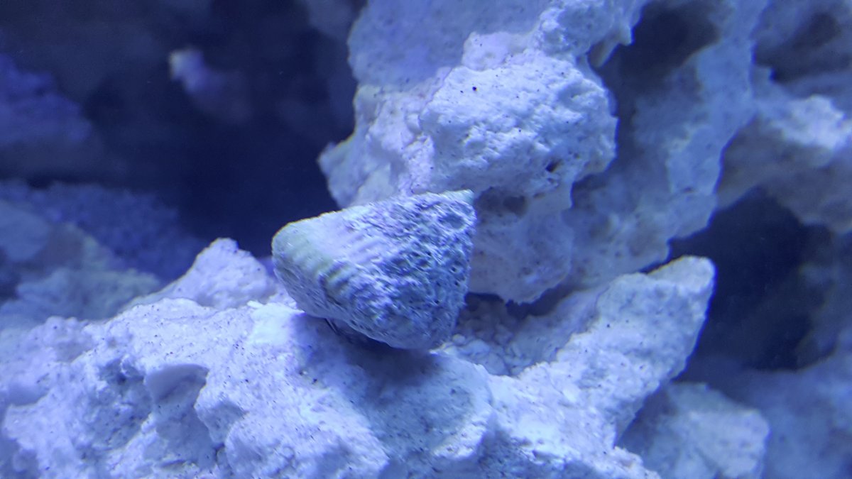 20161020_182017.jpg