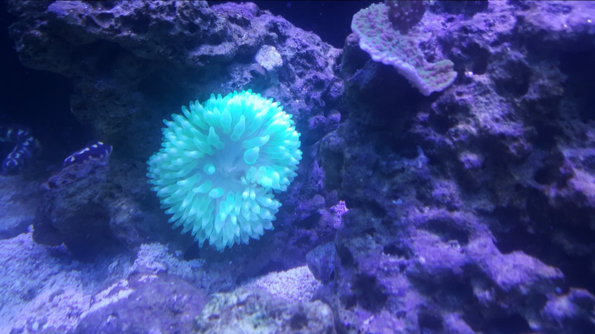 20161020_183258.jpg