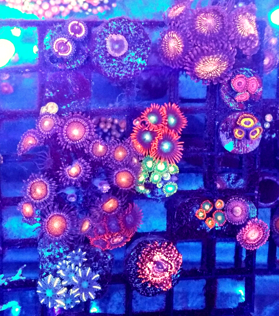 20161021_051305.png