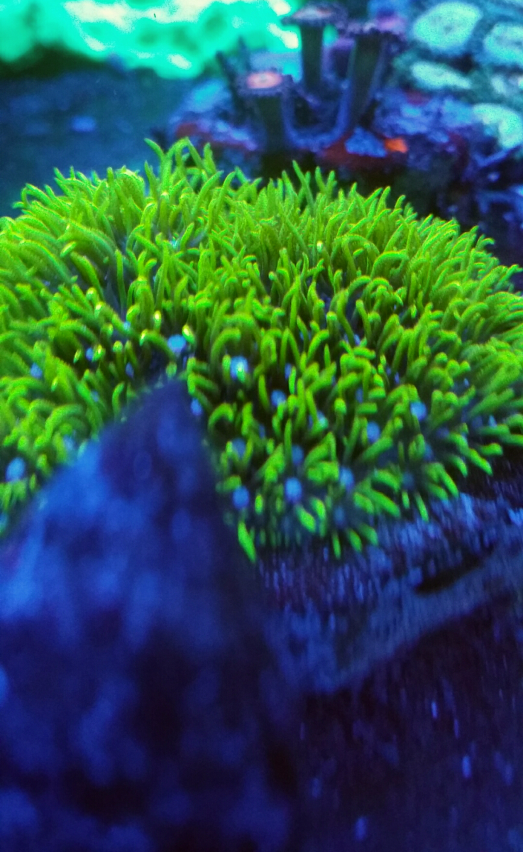 20161021_060024.png