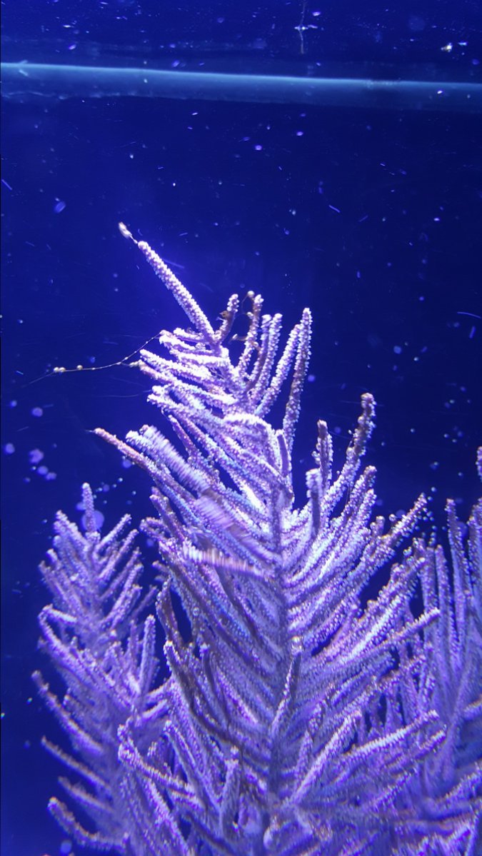 20161022_182138.jpg