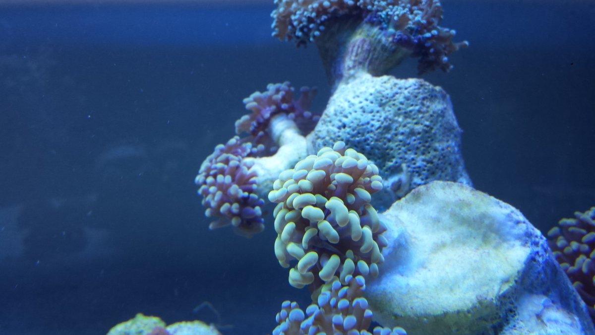 20161022_213900.jpg