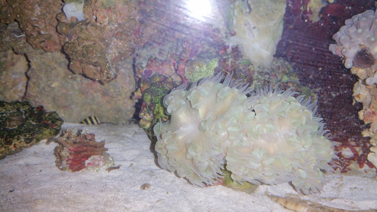 20161023_000745.jpg