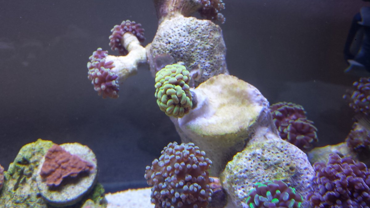 20161023_103242.jpg