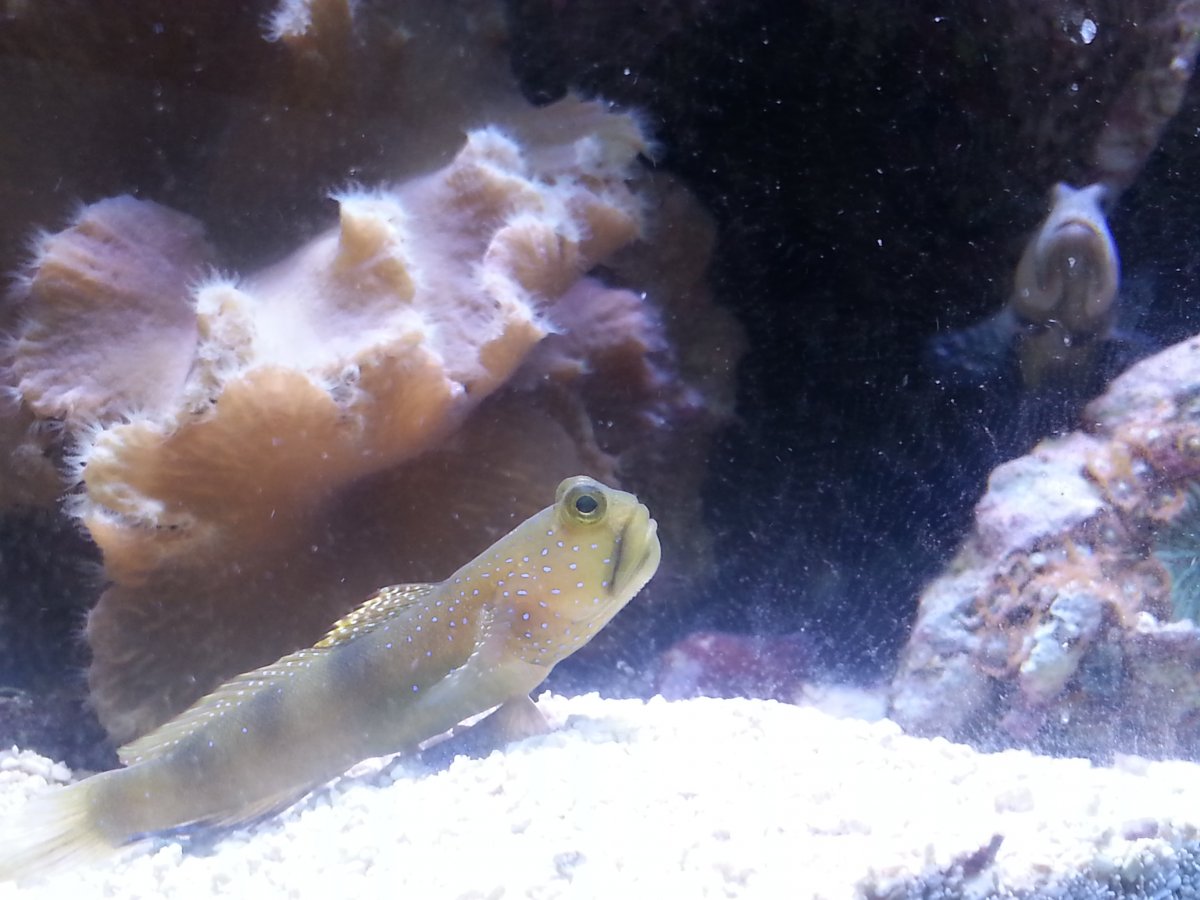 20161024_142959.jpg