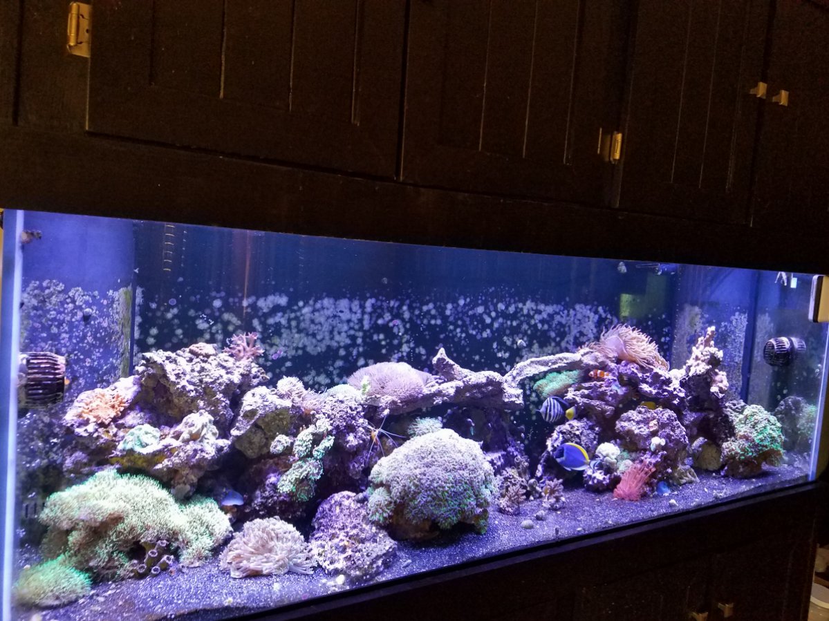20161024_160712.jpg