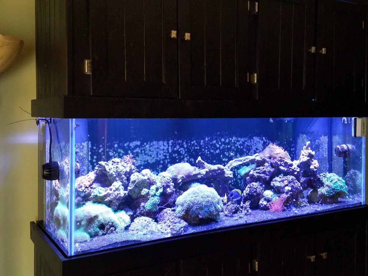 20161024_160835.jpg