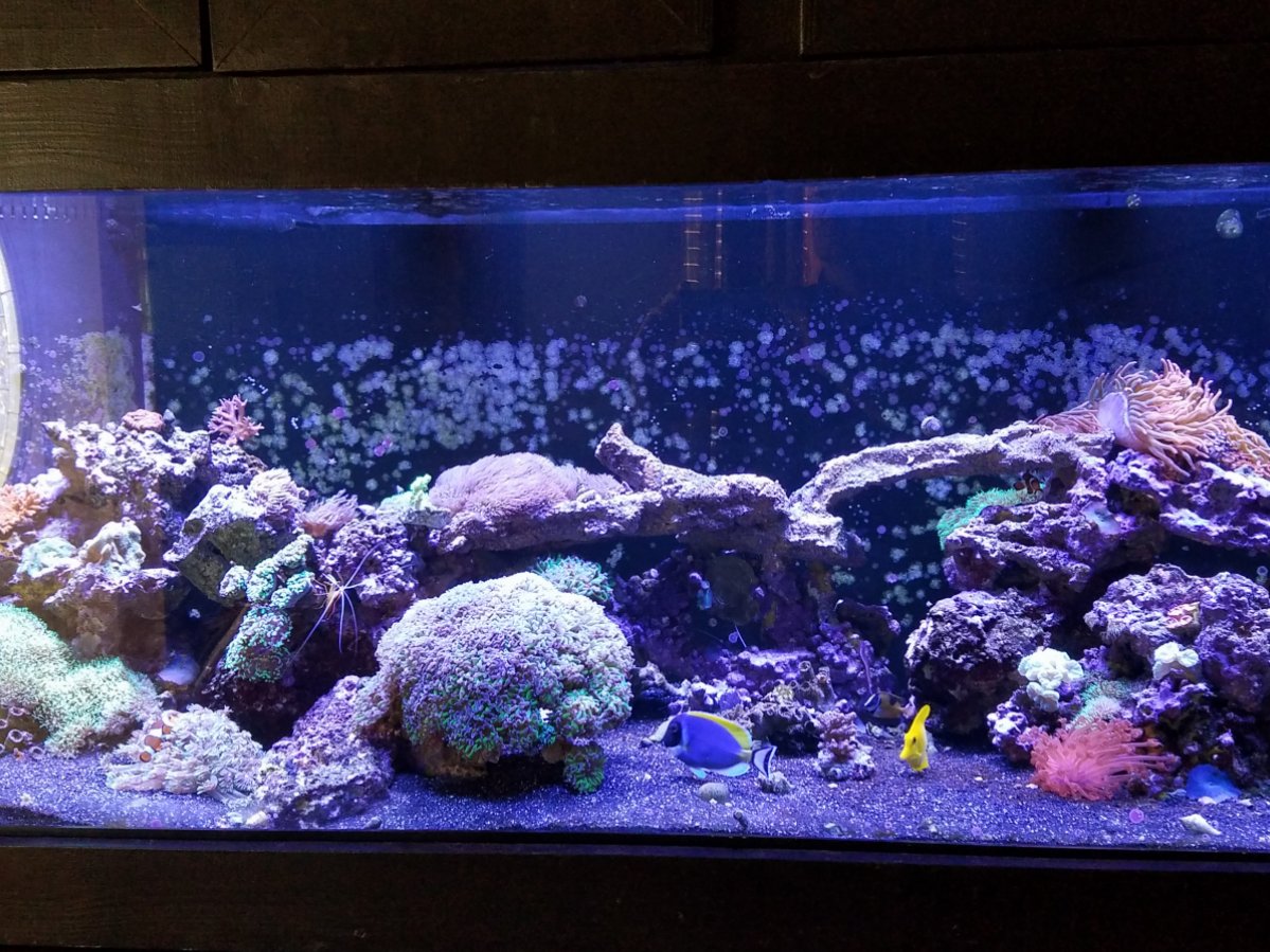 20161024_160852.jpg