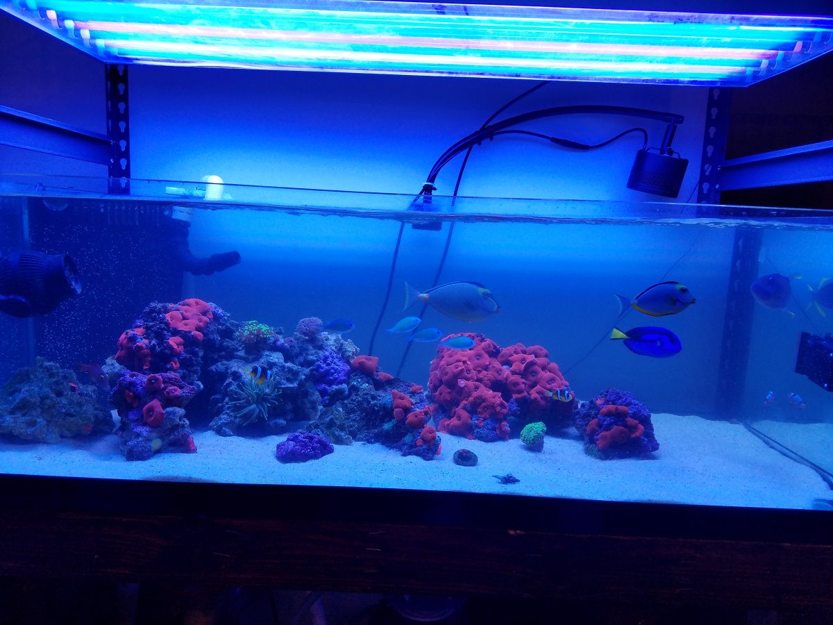 20161025_200343.jpg