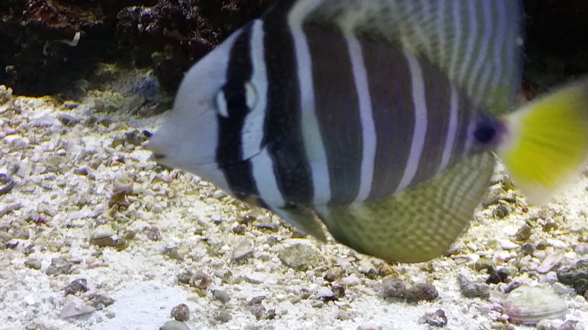 20161027_134842.jpg