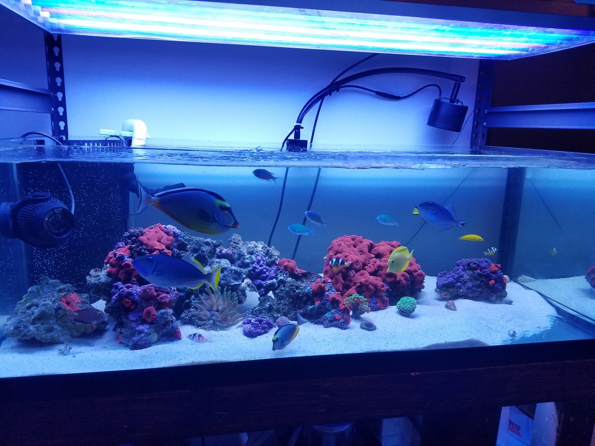 20161027_202221.jpg